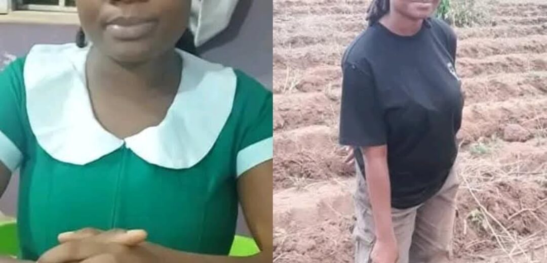 A/R Offinso North:Nurse Veronica Abrokwah’s Journey to Successful Tomato Farming.
