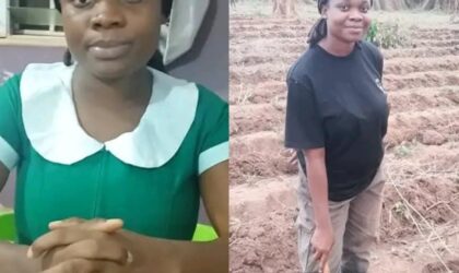 A/R Offinso North:Nurse Veronica Abrokwah’s Journey to Successful Tomato Farming.