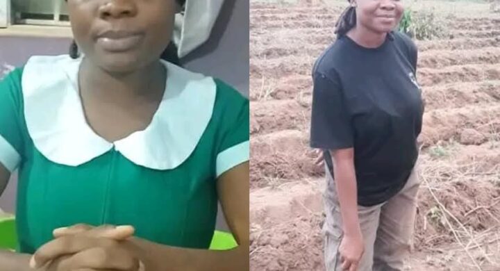 A/R Offinso North:Nurse Veronica Abrokwah’s Journey to Successful Tomato Farming.