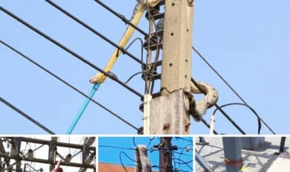 Snake Causes Power Outage in Ashanti Region