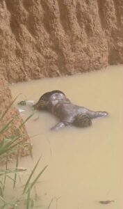 Man Drowns in Galamsey Pit at Anyaaso
