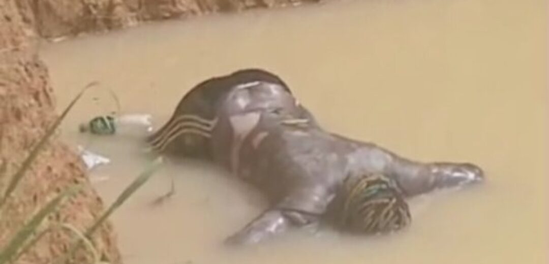 Man Drowns in Galamsey Pit at Anyaaso
