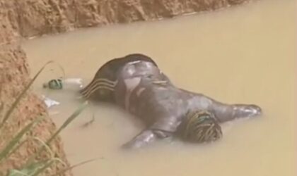 Man Drowns in Galamsey Pit at Anyaaso