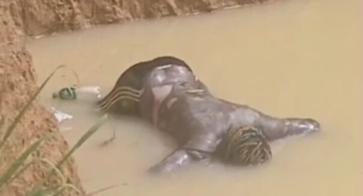Man Drowns in Galamsey Pit at Anyaaso