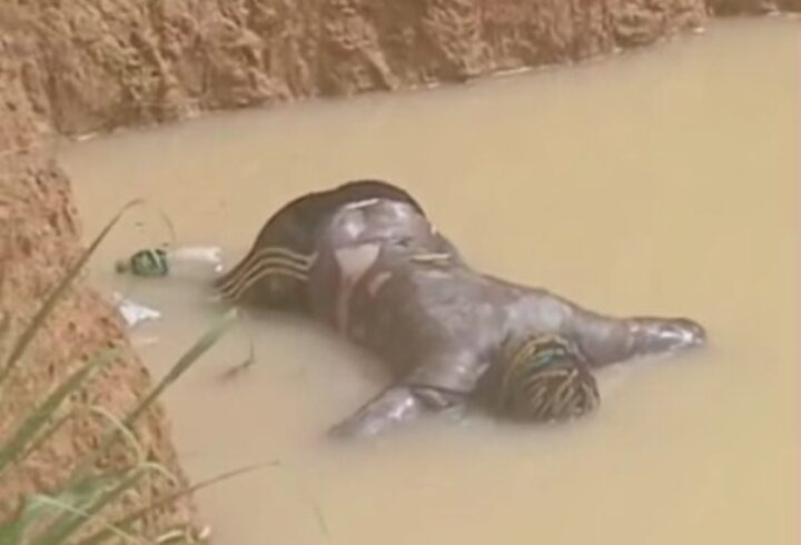 Man Drowns in Galamsey Pit at Anyaaso