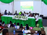 Scientists Urge Private Investments in Seed Production