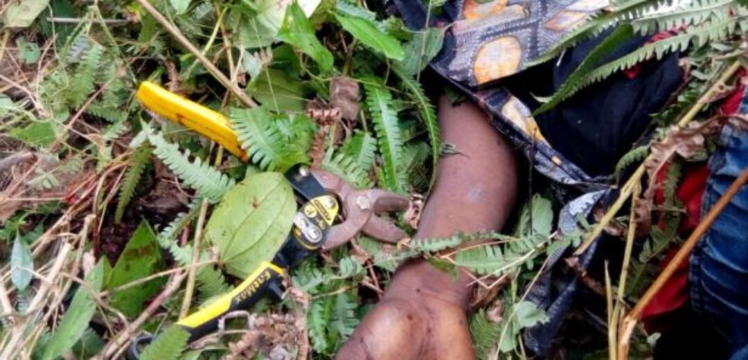 Tragedy: SHS Student Found Dead in Stream at Tomefa