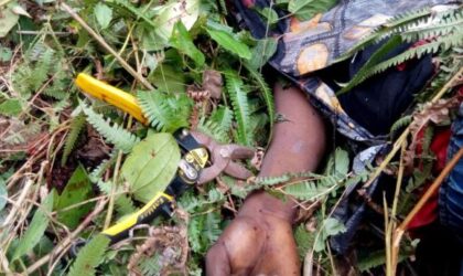 Tragedy: SHS Student Found Dead in Stream at Tomefa
