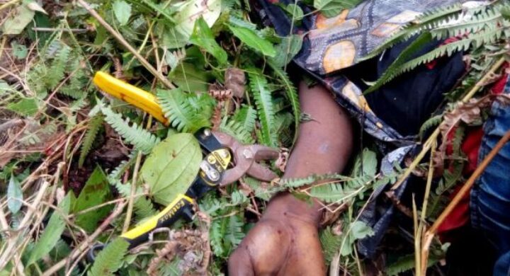 Tragedy: SHS Student Found Dead in Stream at Tomefa