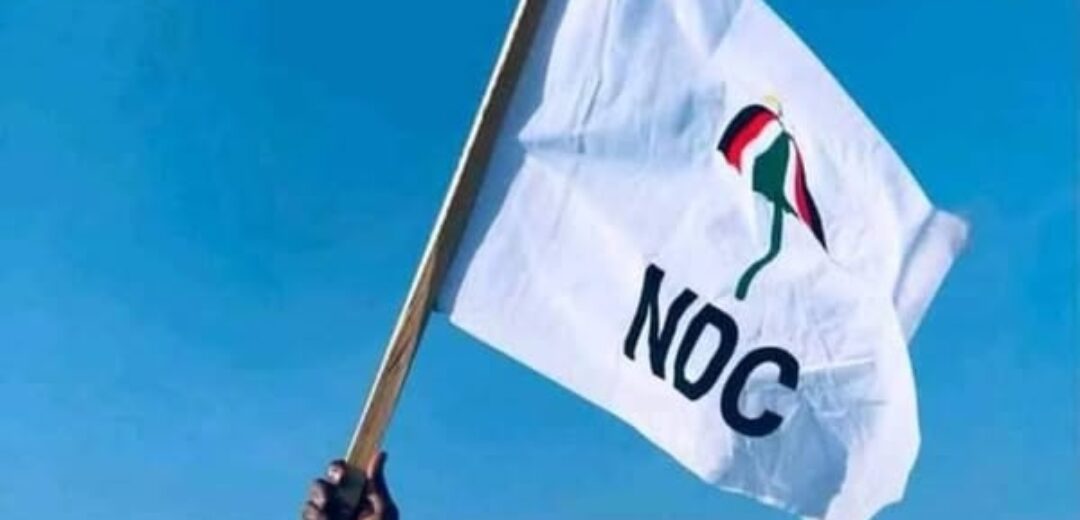 NDC Akwatia Primaries: Three Aspirants Pick Nomination Forms