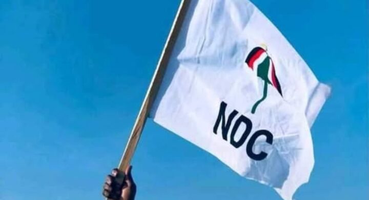 NDC Akwatia Primaries: Three Aspirants Pick Nomination Forms