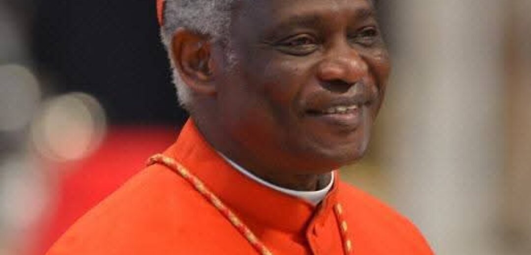 Cardinal Turkson Sounds Alarm on Environmental Destruction