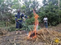 50 Fire Volunteers Trained on Bushfire Prevention in Donkorkrom