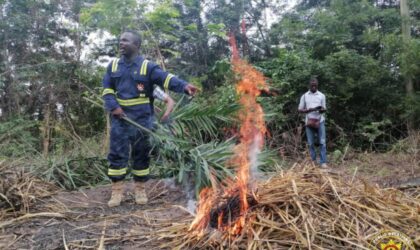 50 Fire Volunteers Trained on Bushfire Prevention in Donkorkrom