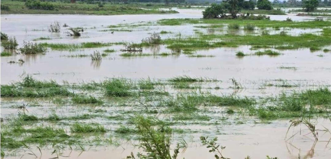 Wa and Tumu Hit by Heavy Downpour, Flooding and Infrastructure Damage Reported