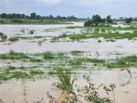 Wa and Tumu Hit by Heavy Downpour, Flooding and Infrastructure Damage Reported
