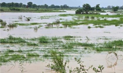 Wa and Tumu Hit by Heavy Downpour, Flooding and Infrastructure Damage Reported