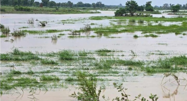 Wa and Tumu Hit by Heavy Downpour, Flooding and Infrastructure Damage Reported