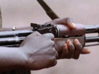 Kidnappers in Nigeria Kill 35 Hostages Despite Ransom Payment