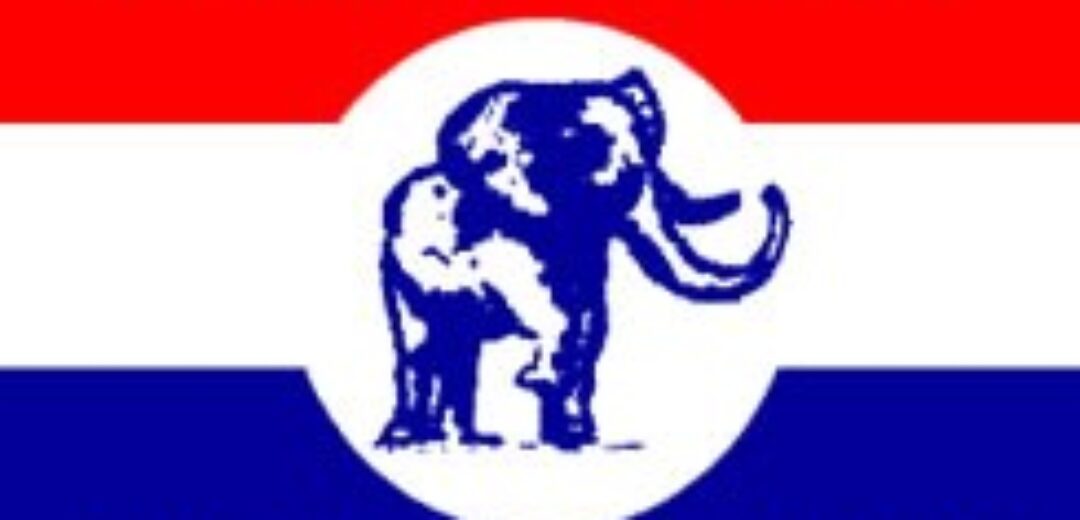 NPP’s Future Hinges on National Delegates Conference