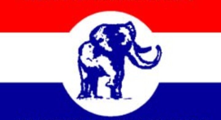 NPP’s Future Hinges on National Delegates Conference
