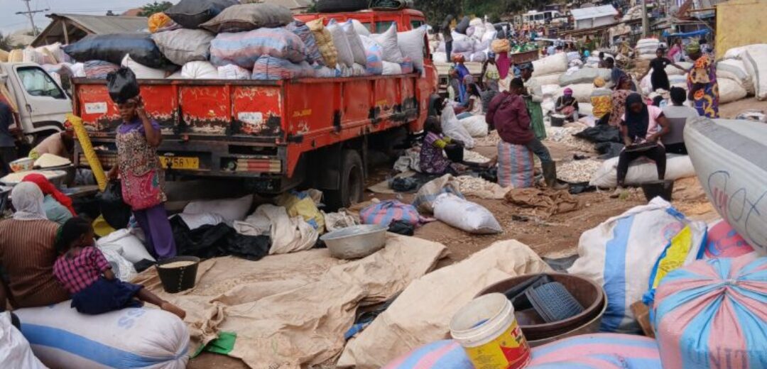 Abofour Market Women Cry Out for Relief: “Enough is Enough!