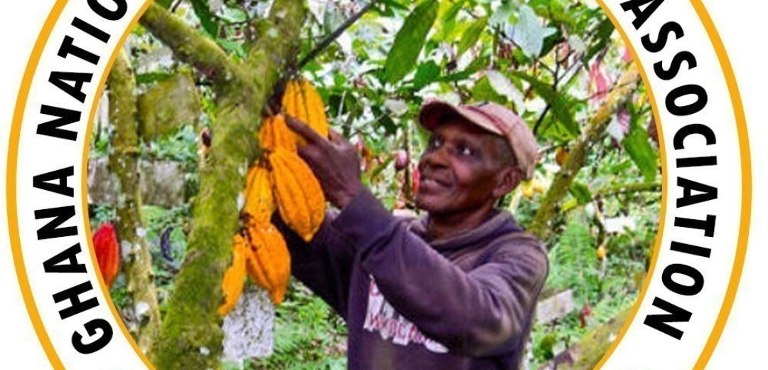 Increase Cocoa Price By 70 Percent As Your Initial Statement–Cocoa Farmers To Government.
