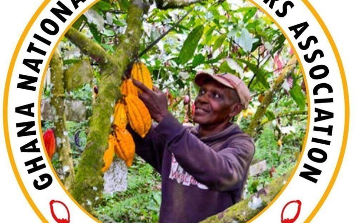 Increase Cocoa Price By 70 Percent As Your Initial Statement–Cocoa Farmers To Government.