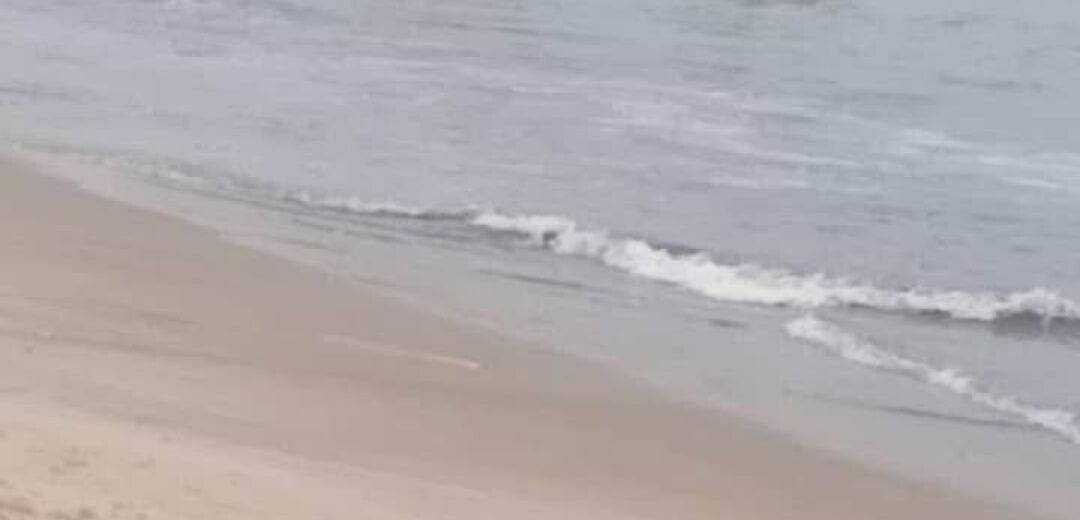 Inshore Fishing Vessel “Joy George” Involved in Accident at Sea