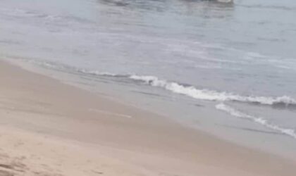 Inshore Fishing Vessel “Joy George” Involved in Accident at Sea
