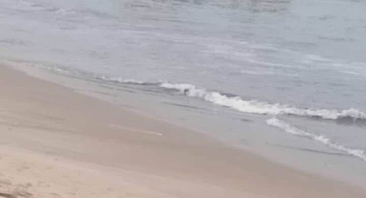 Inshore Fishing Vessel “Joy George” Involved in Accident at Sea