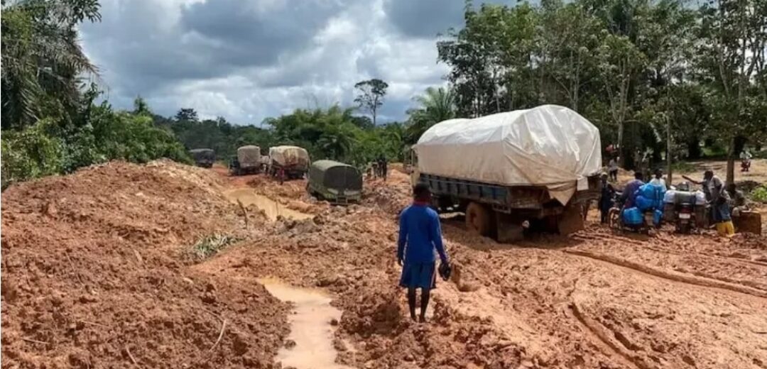 Poor Infrastructure and Financing Constraints Threaten Ghana’s Tree Crop Industry