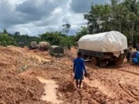 Poor Infrastructure and Financing Constraints Threaten Ghana’s Tree Crop Industry