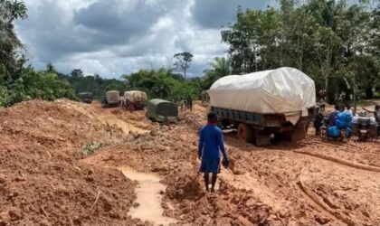 Poor Infrastructure and Financing Constraints Threaten Ghana’s Tree Crop Industry
