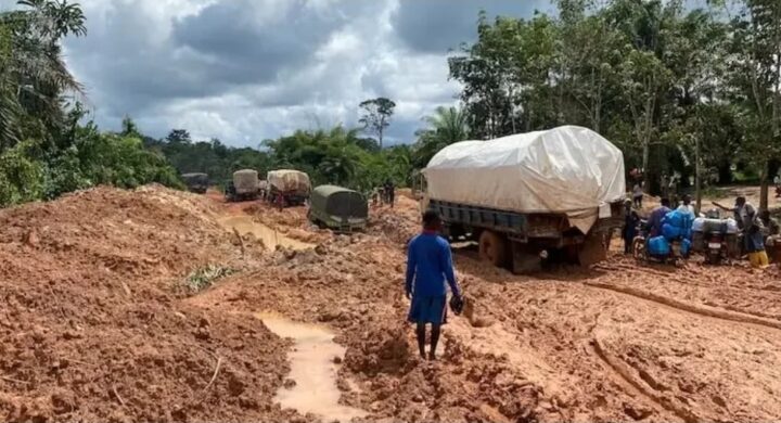 Poor Infrastructure and Financing Constraints Threaten Ghana’s Tree Crop Industry