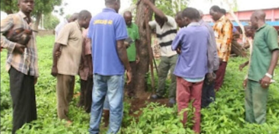 Traditional Leaders Perform Cleansing Ritual at Bawku SHS After Student’s Death