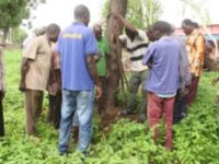 Traditional Leaders Perform Cleansing Ritual at Bawku SHS After Student’s Death