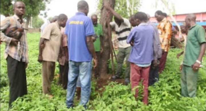 Traditional Leaders Perform Cleansing Ritual at Bawku SHS After Student’s Death