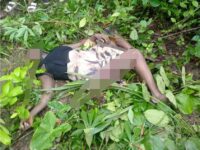 Double Tragedy Strikes Bekwai Municipality: Wife Stabbed, Farmer Found Dead