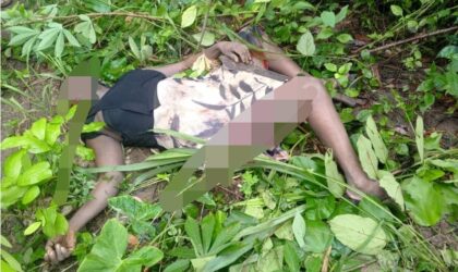 Double Tragedy Strikes Bekwai Municipality: Wife Stabbed, Farmer Found Dead