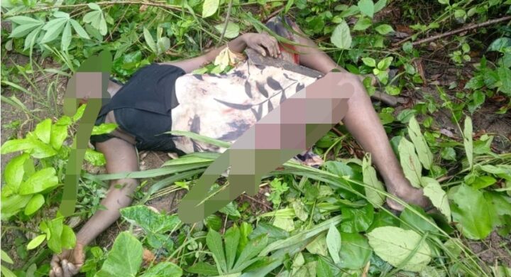 Double Tragedy Strikes Bekwai Municipality: Wife Stabbed, Farmer Found Dead