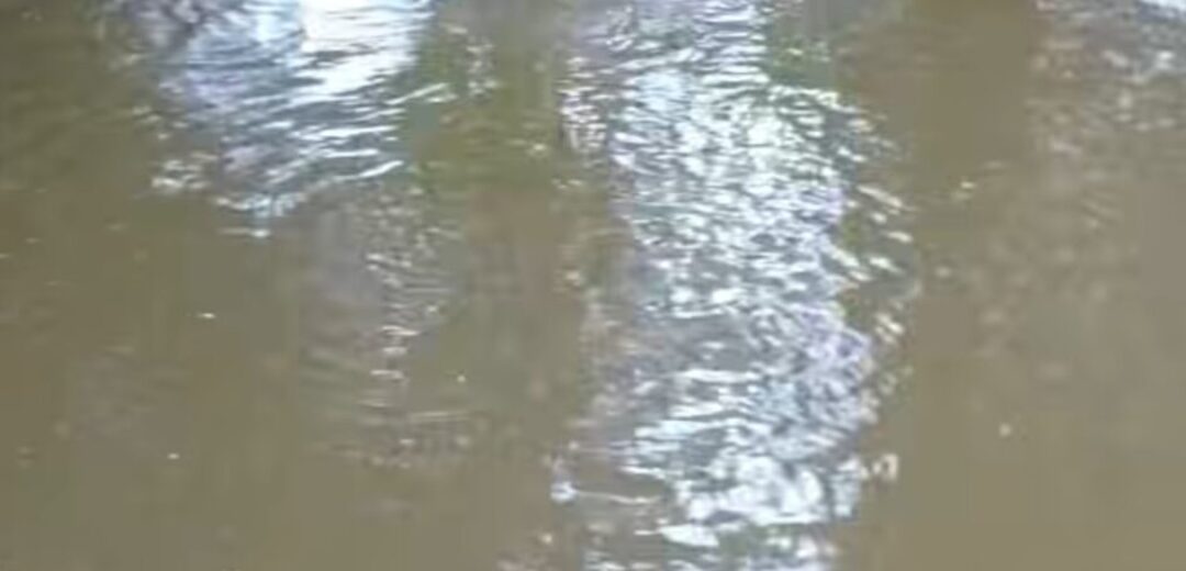 Tragedy Strikes Asamankese: Two Brothers Drown in River