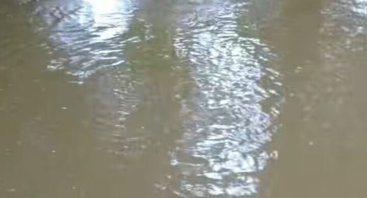Tragedy Strikes Asamankese: Two Brothers Drown in River