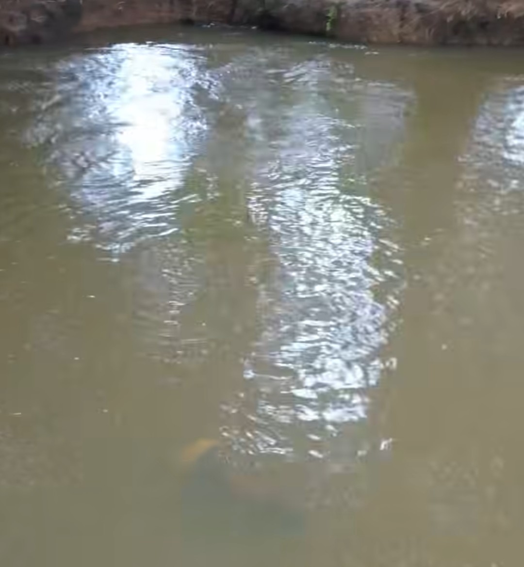 Tragedy Strikes Asamankese Two Brothers Drown in River