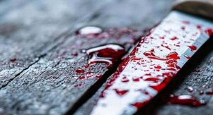 Family Tragedy Unfolds in Western Region: Brotherly Love Turns Deadly