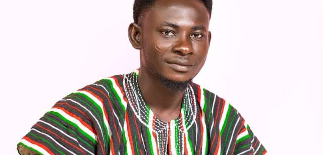 Blame Akufo-Addo, NPP for Ghana’s poor performance in peace ranking – NDC youth activist