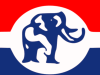 NPP Condemns Remand of Nurse Salomey Awiti Bafoh, Questions Jurisdiction of Adenta Circuit Court