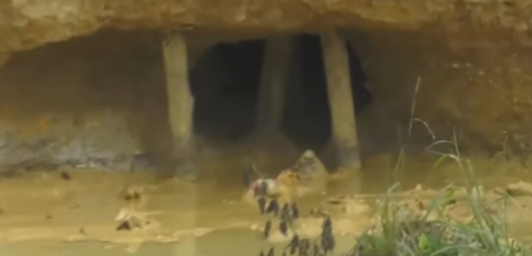 Five Killed, Eight Rescued in Kasotie Illegal Mining Pit Collapse