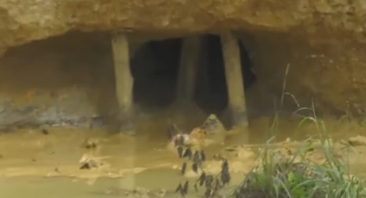 Five Killed, Eight Rescued in Kasotie Illegal Mining Pit Collapse