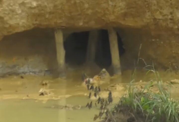 Screenshot_20251003_204943_Facebook